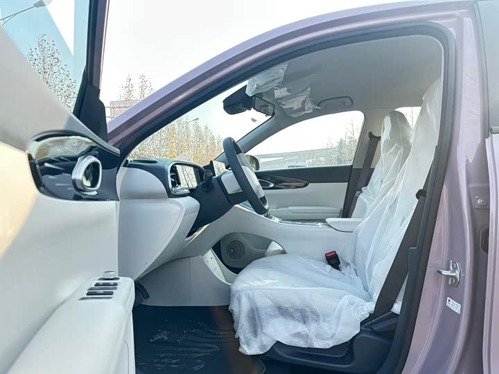 Geely Galaxy Geome 2026 2026款 310km 青春版