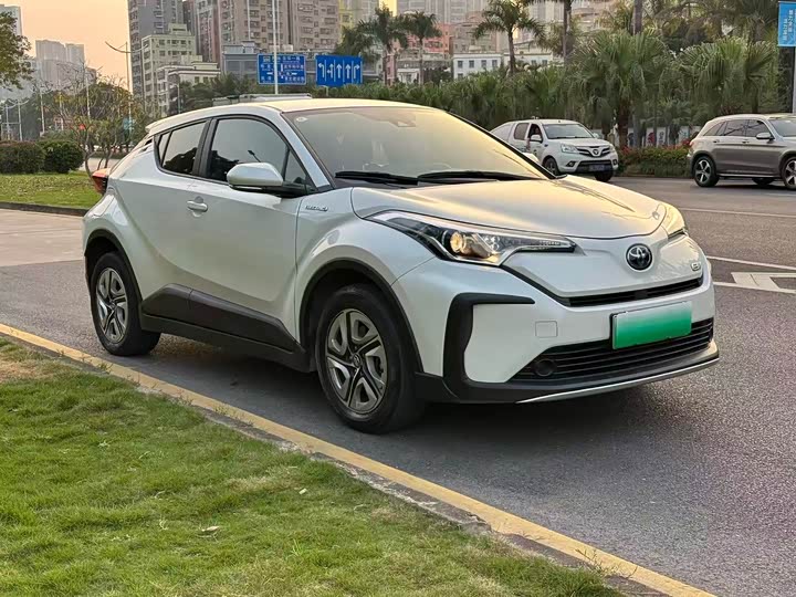 Toyota Izoa EV 2020 2020款 E·智享版