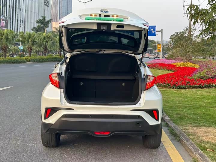 Toyota Izoa EV 2020 2020款 E·智享版