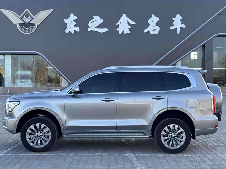 Tank 500 Hybrid 2025 2025款 Hi4-Z