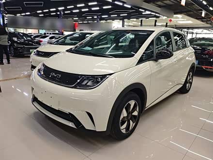 BYD Dolphin 2025 2025款 420km 自由版