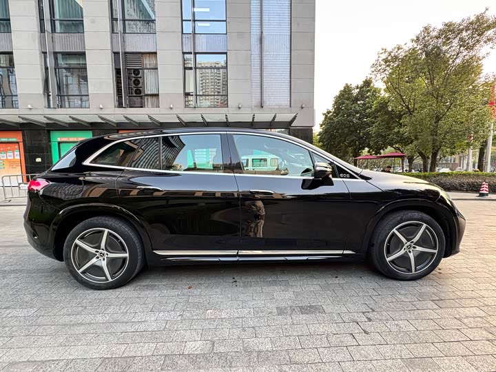 Mercedes-Benz EQS SUV 2023 2023款 450 4MATIC 先锋版