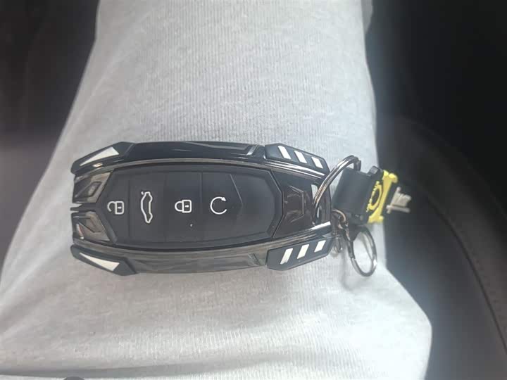 Chery Tiggo 8 Pro 2024 2024款 冠军版 390T 两驱巅峰版 7座