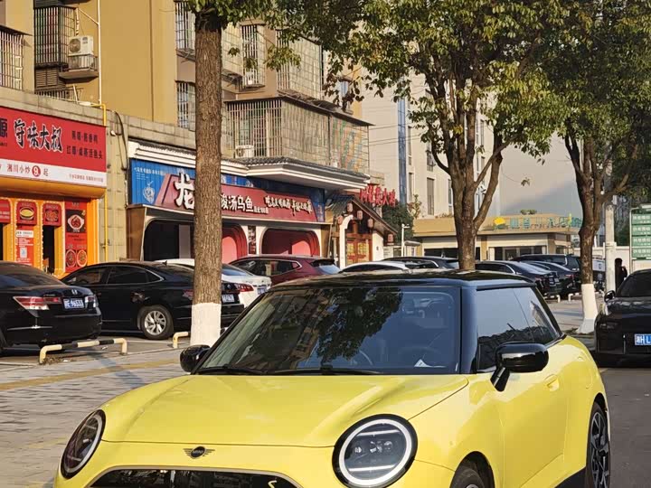 Mini Cooper 2024 2024款 452km COOPER SE 艺术家