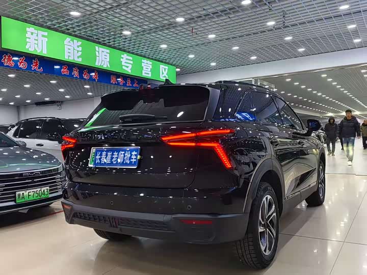 Haval Ruge 2023 2023款 1.5L 110KM领动版