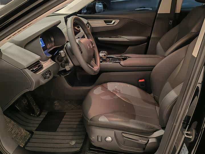 Hongqi E-QM5 2024 2024款 610km PLUS