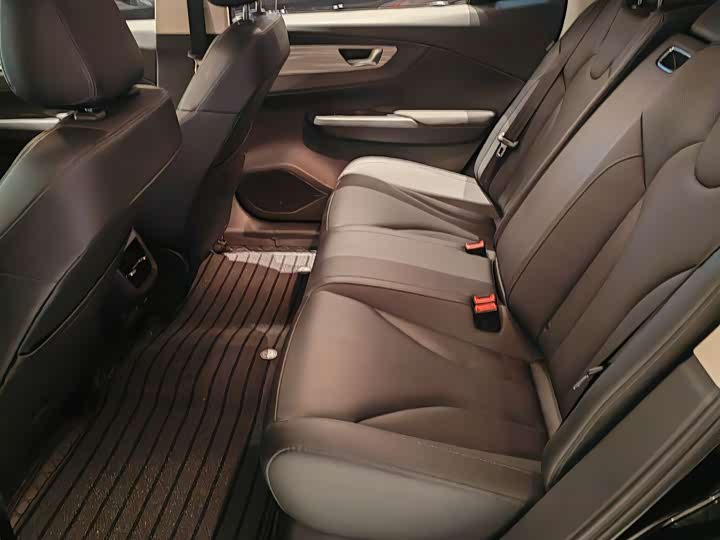 Hongqi E-QM5 2024 2024款 610km PLUS