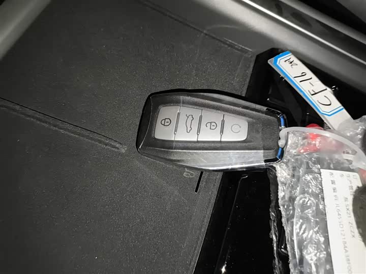 Geely Atlas 2026 2026款 1.5TD 向往