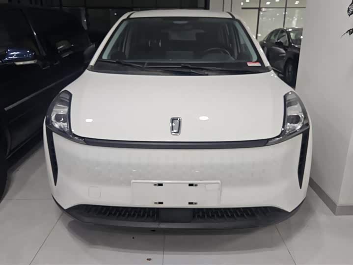 Bestune NAT 2023 2023款 PRO 舒享出行版 419km