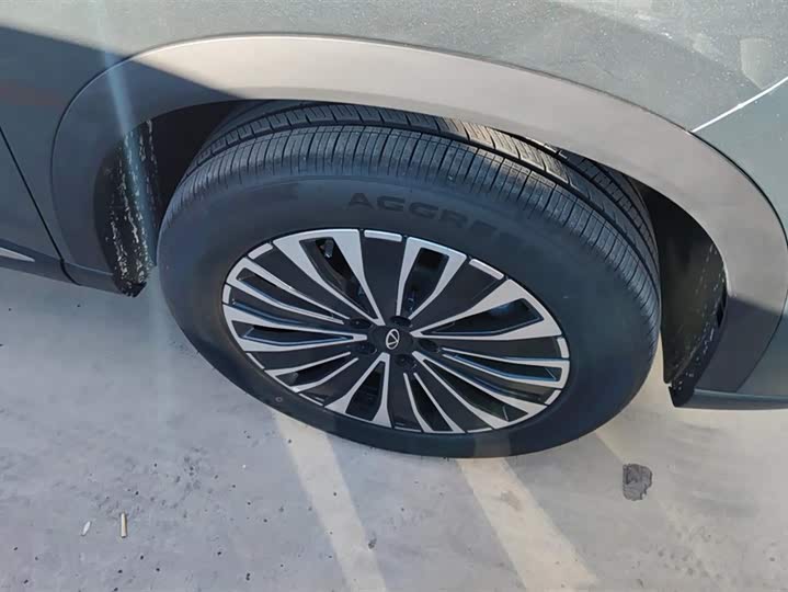 Chery Tiggo 8 Plus C-DM 2025 2025款 1.5T 116km 豪华型 5座