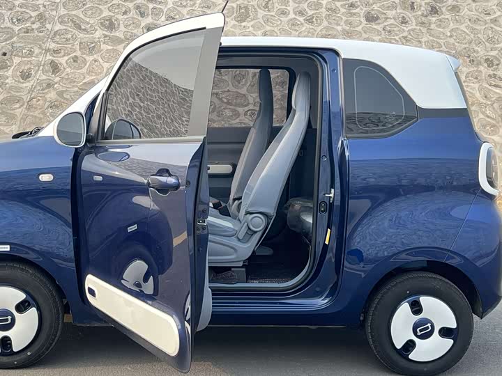 Bestune Pony 2025 2025款 222km 闪电马