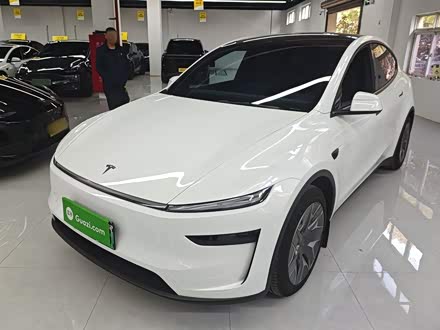Tesla Model Y 2025 2025款 长续航全轮驱动版