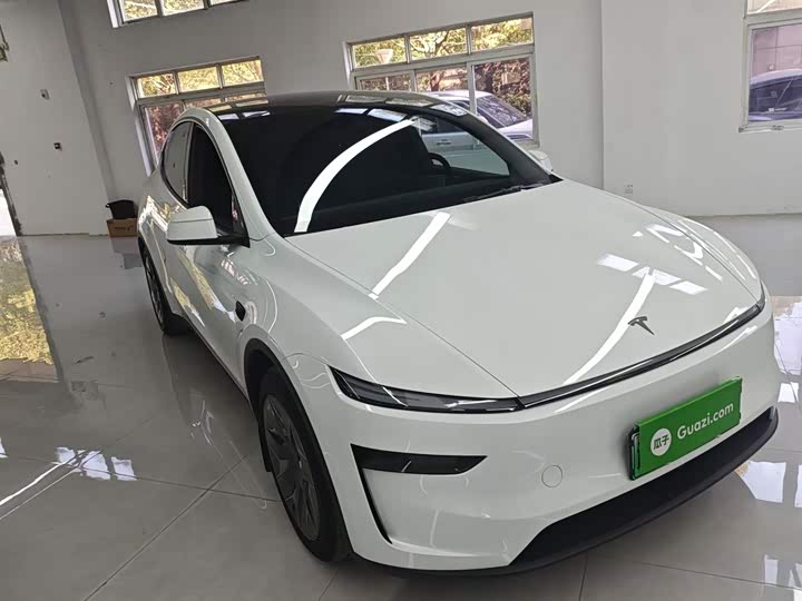 Tesla Model Y 2025 2025款 长续航全轮驱动版
