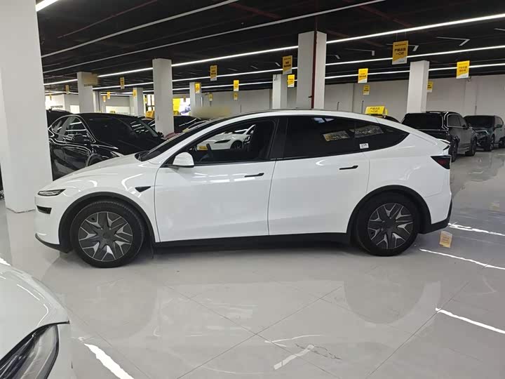 Tesla Model Y 2025 2025款 长续航全轮驱动版