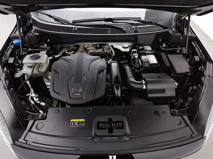 Hongqi HS3 2024 2024款 1.5T 善为版