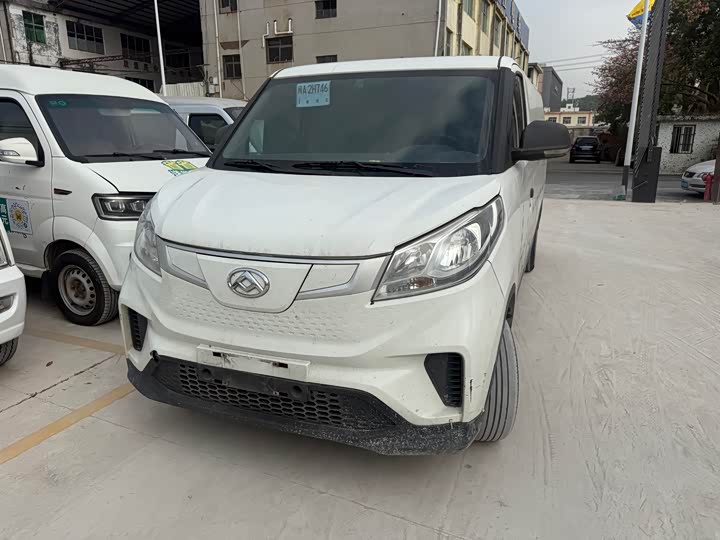 2021 Maxus EV30