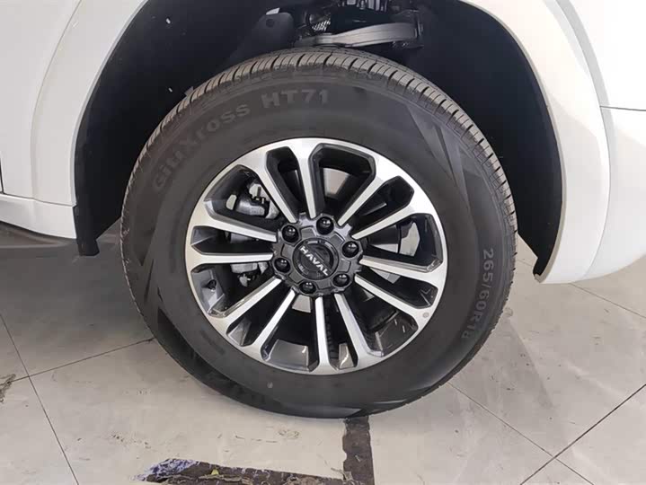 Haval H9 2024 2024款 2.0T 汽油四驱拓境版