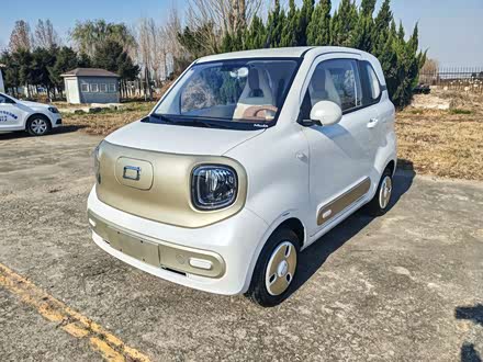 Bestune Pony 2026 2026款 222km 闪耀马