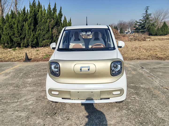 Bestune Pony 2026 2026款 222km 闪耀马