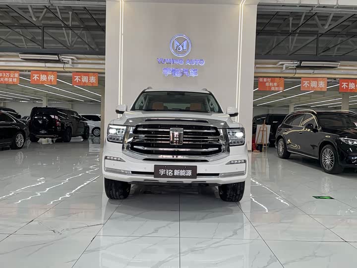 Tank 500 Hybrid 2025 2025款 Hi4-Z