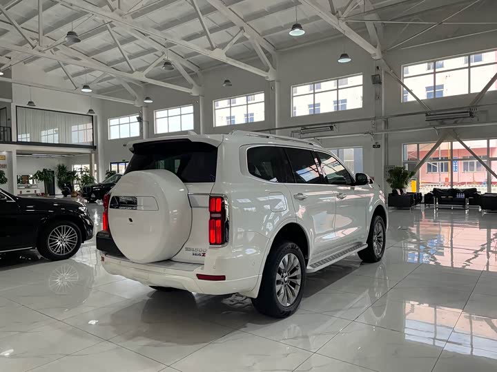 Tank 500 Hybrid 2025 2025款 Hi4-Z