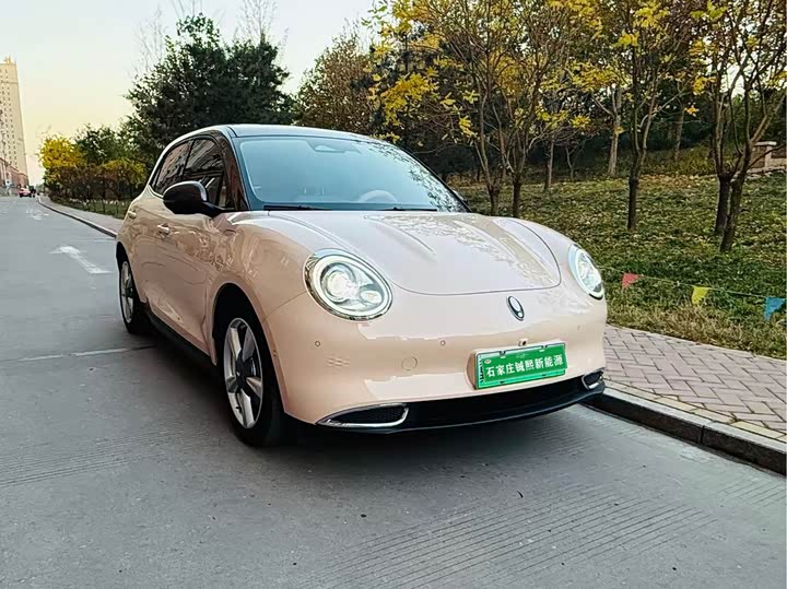 Ora Good Cat (03) 2023 2023款 401km标准续航 尊贵型 磷酸铁锂