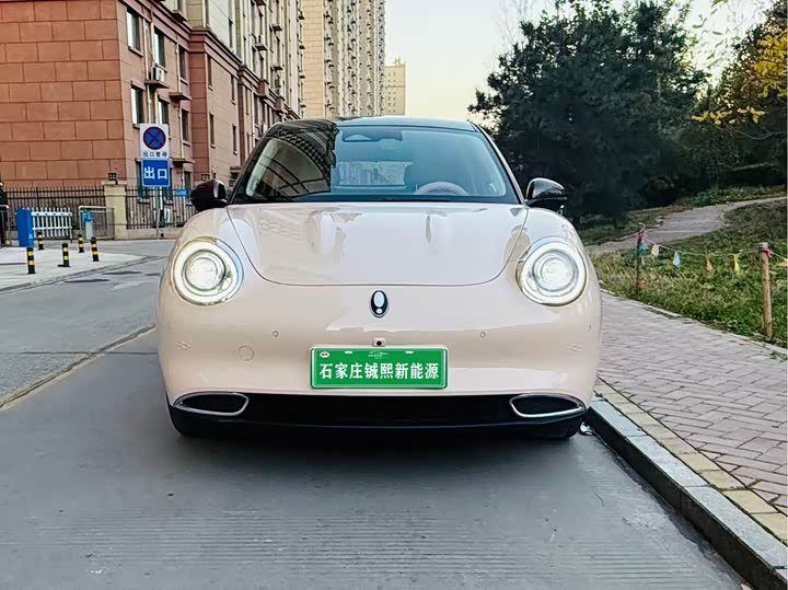 Ora Good Cat (03) 2023 2023款 401km标准续航 尊贵型 磷酸铁锂
