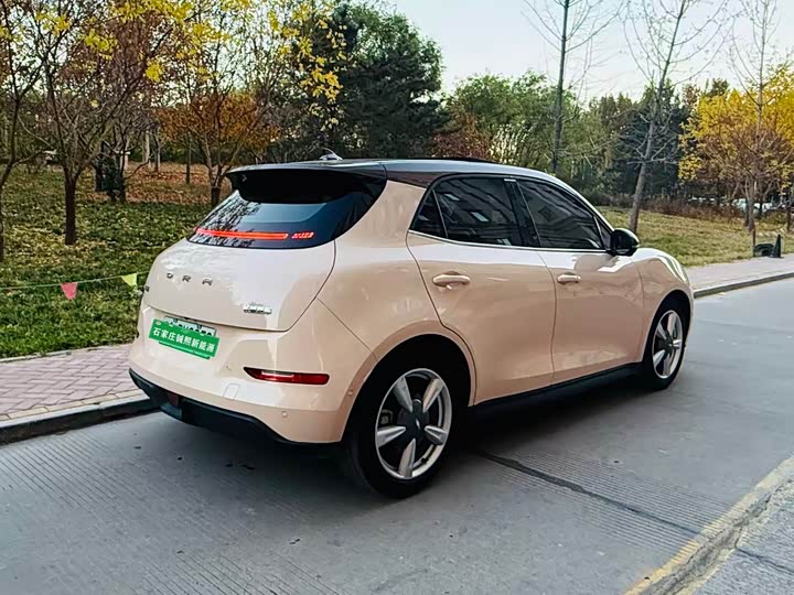 Ora Good Cat (03) 2023 2023款 401km标准续航 尊贵型 磷酸铁锂
