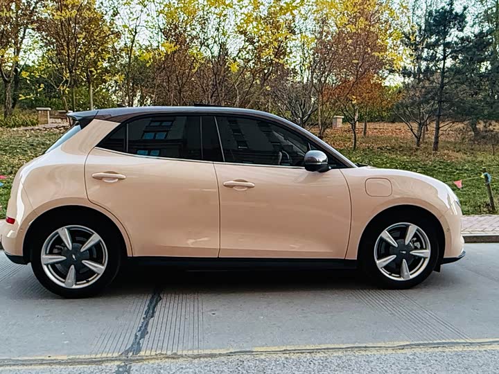 Ora Good Cat (03) 2023 2023款 401km标准续航 尊贵型 磷酸铁锂