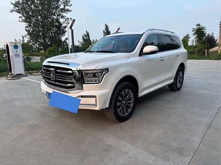 Tank 500 2023 2023款 3.0T 特别定制版 5座