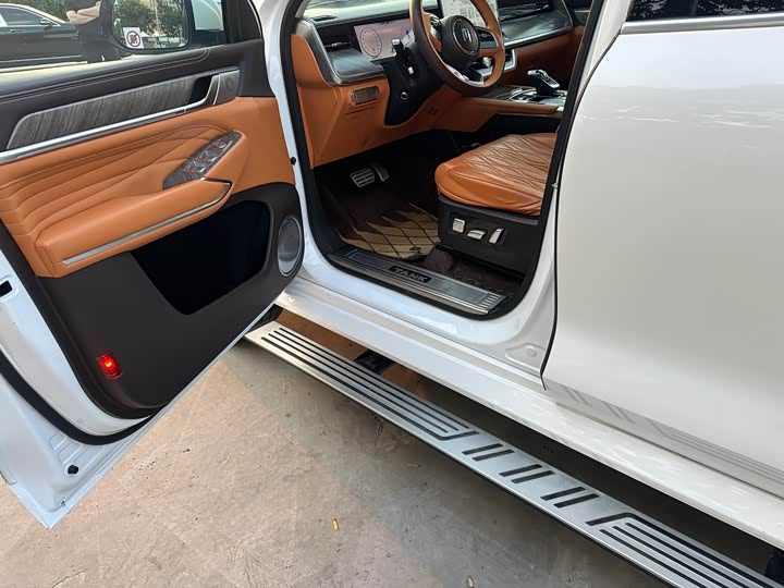 Tank 500 2023 2023款 3.0T 特别定制版 5座