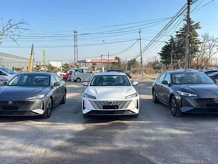 Changan Eado EV 2025 2025款 智慧新蓝鲸 145KM 高能版