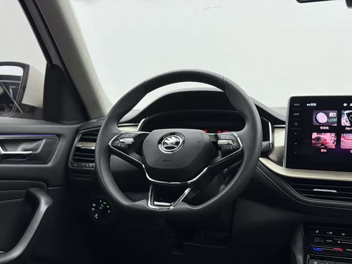 Skoda Kodiaq 2022 2022款 TSI330 7座两驱奢享版