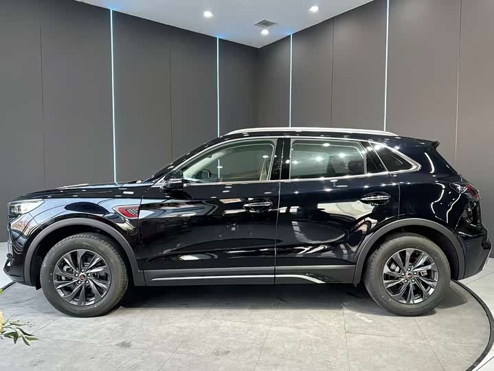 Hongqi HS5 2025 2025款 2.0T 两驱60万辆纪念版