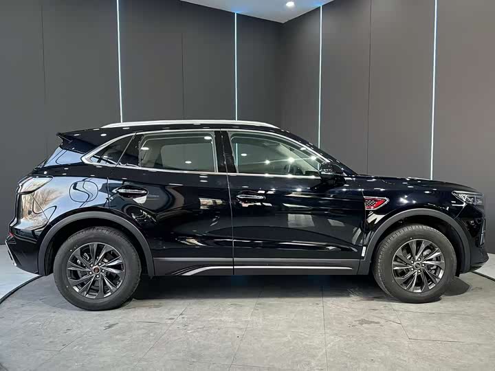 Hongqi HS5 2025 2025款 2.0T 两驱60万辆纪念版