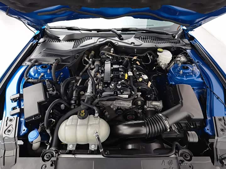 Ford Mustang 2021 2021款 2.3T EcoBoost