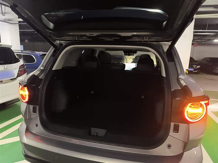 Haval H-Dog Hybrid 2024 2024款 Hi4 102km 潮电版Plus