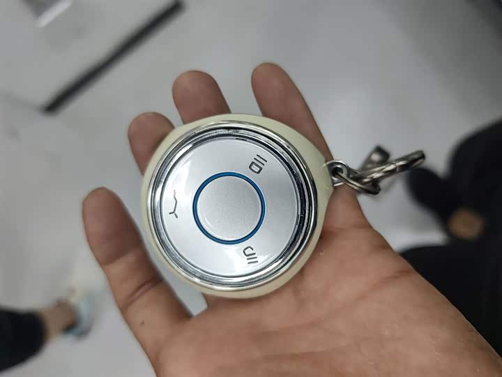 Hozon V 2022 2022款 潮 400 Lite