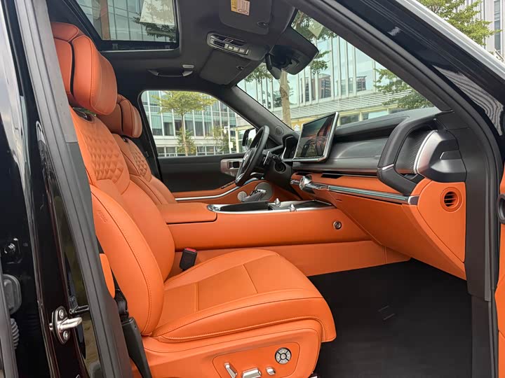 Tank 700 Hybrid 2024 2024款 Hi4-T 极境版