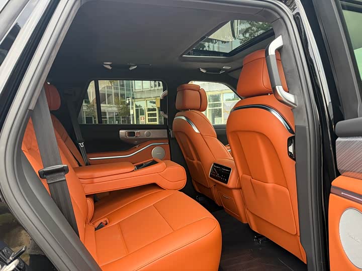 Tank 700 Hybrid 2024 2024款 Hi4-T 极境版