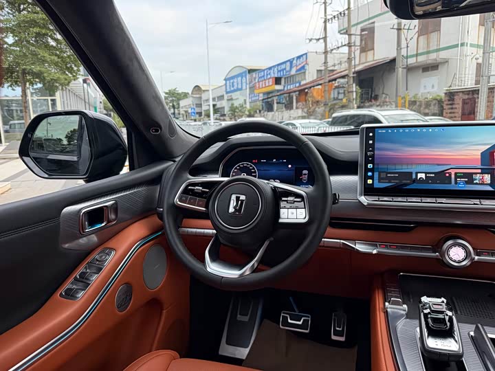 Tank 700 Hybrid 2024 2024款 Hi4-T 极境版