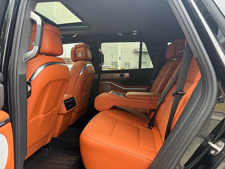 Tank 700 Hybrid 2024 2024款 Hi4-T 极境版