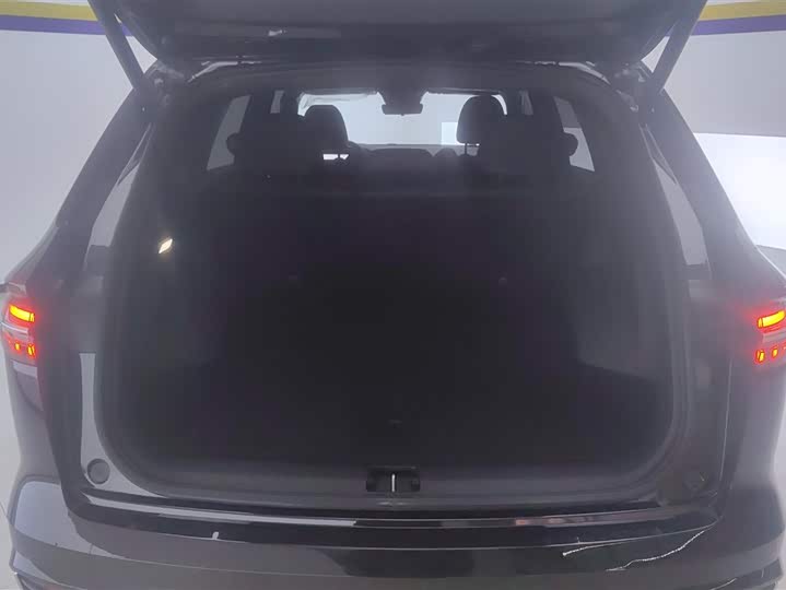 Geely Monjaro 2024 2024款 2.0TD DCT EVO两驱长风版