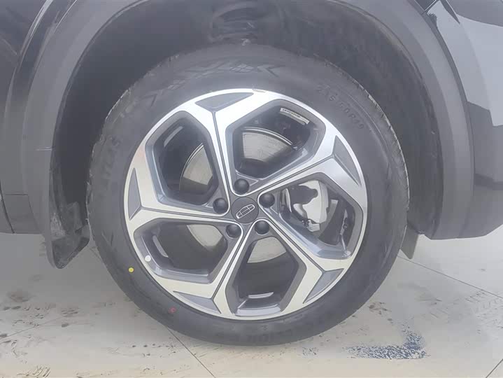 Geely Monjaro 2024 2024款 2.0TD DCT EVO两驱长风版