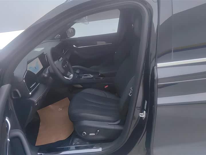 Geely Monjaro 2024 2024款 2.0TD DCT EVO两驱长风版