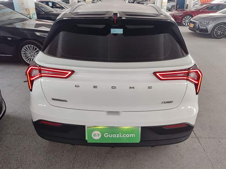 Geely Geometry E Firefly 2024 2024款 301km 流光