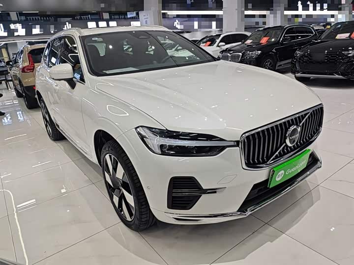 Volvo XC60 Hybrid 2025 2025款 插电式混动 长续航四驱智雅豪华版