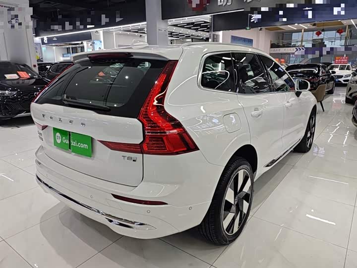 Volvo XC60 Hybrid 2025 2025款 插电式混动 长续航四驱智雅豪华版