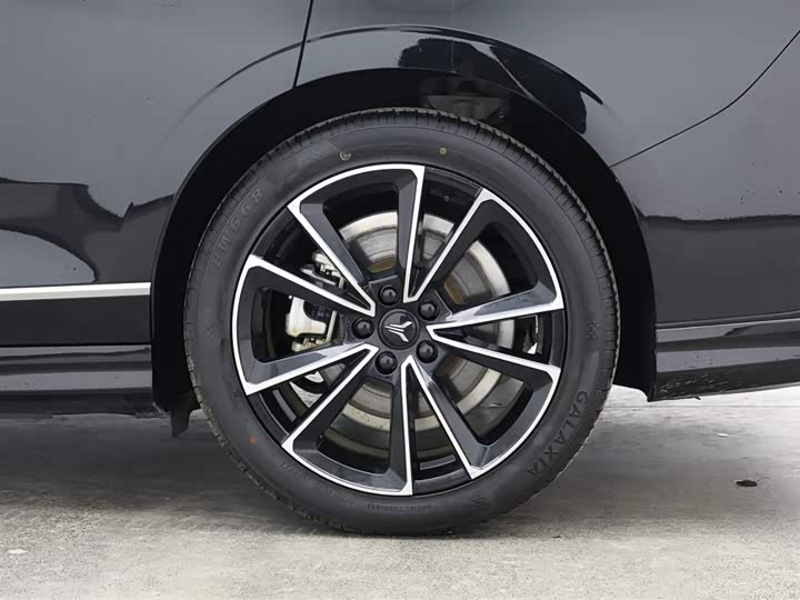 Voyah Passion 2024 2024款 PHEV 四驱超长续航旗舰版