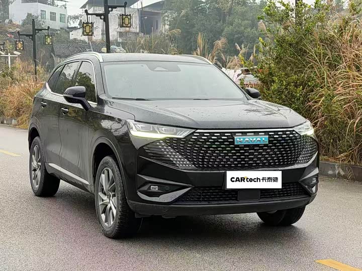 Haval H6 Hybrid 2023 2023款 DHT-PHEV 110KM 悦行版